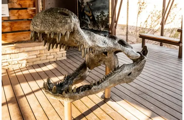 1.the Largest Monsters - Deinosuchus