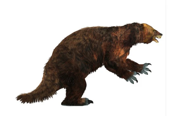 3.the Largest Monsters - Megatherium Americanum