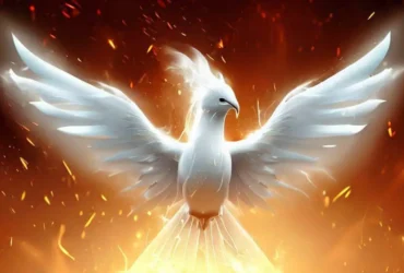 Bird Species That Only Exist In Legends - White Phoenix 1