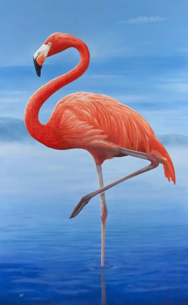 Flamingo-16