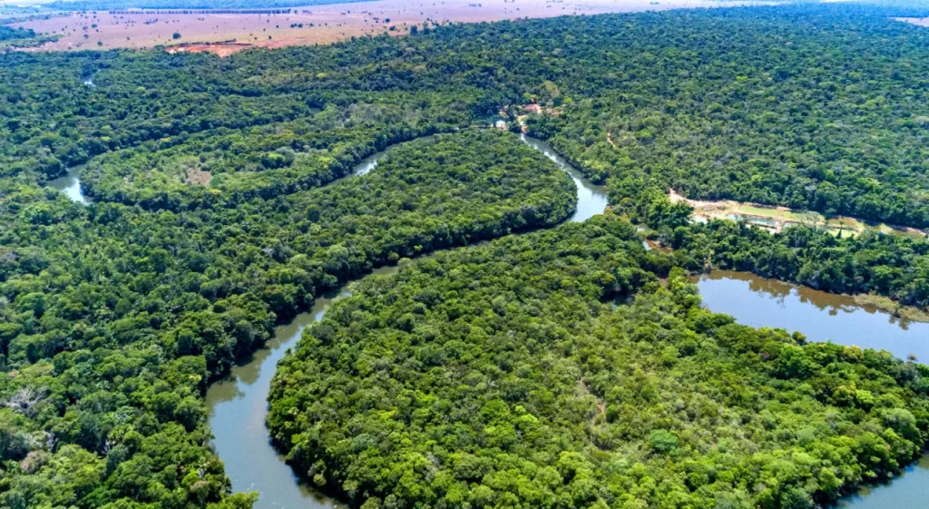Amazon River 0-13