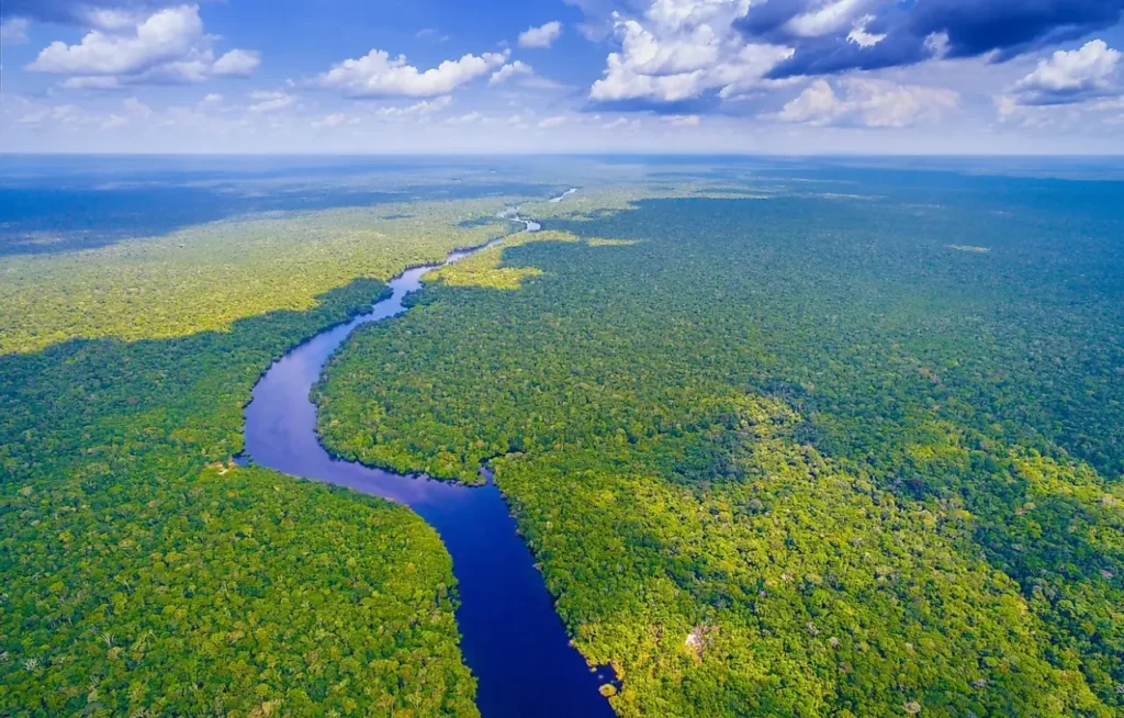 Amazon River 0-5