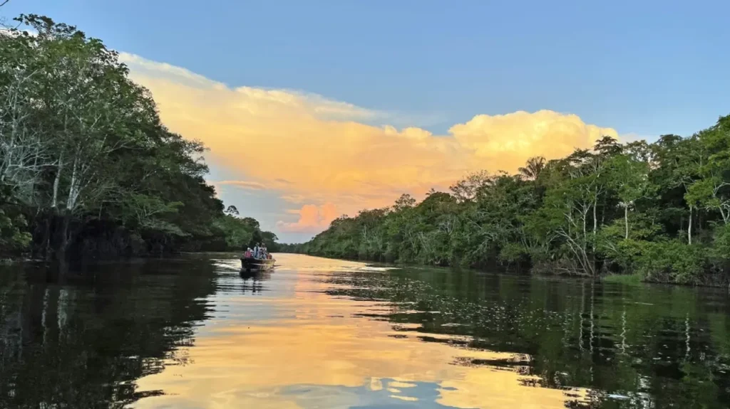 Amazon River 2-4