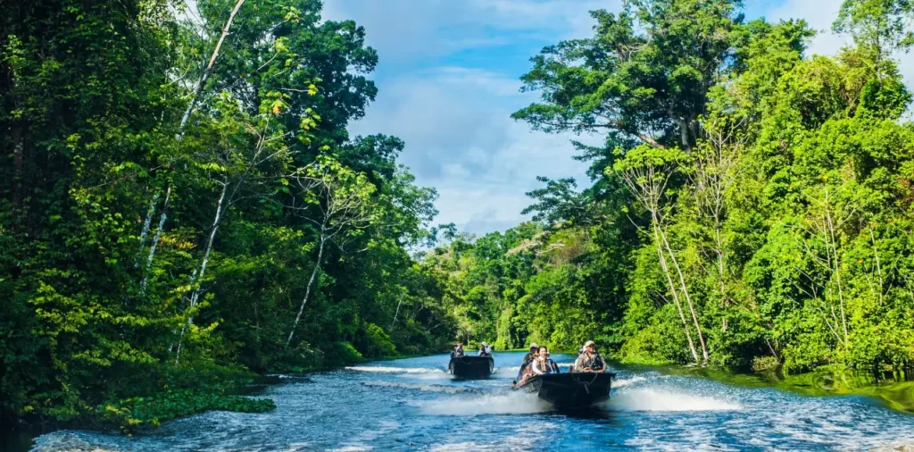 Amazon Rainforest 24
