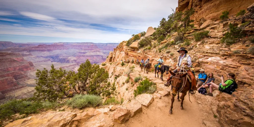 Explore The Grand Canyon 20