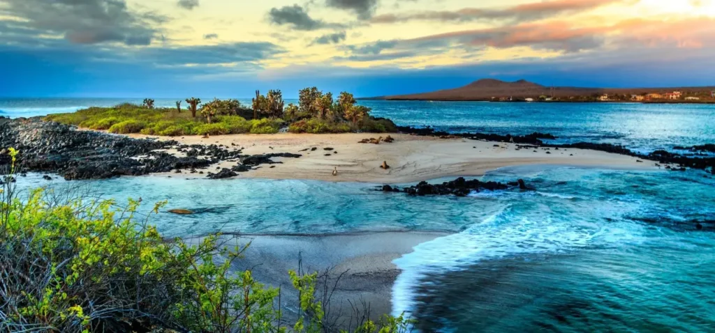 Galapagos Islands 11
