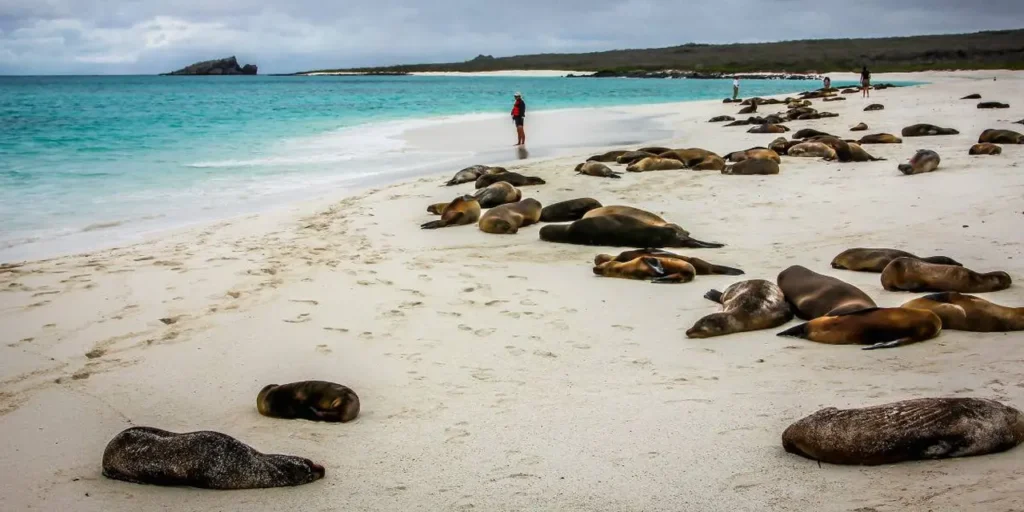 Galapagos Islands 23