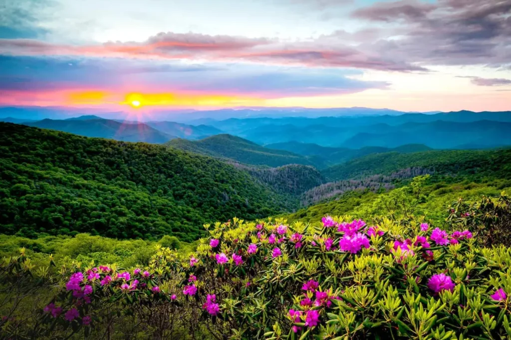 Great Smoky Mountains National Park 1-3