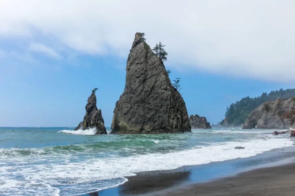 Olympic National Park 3