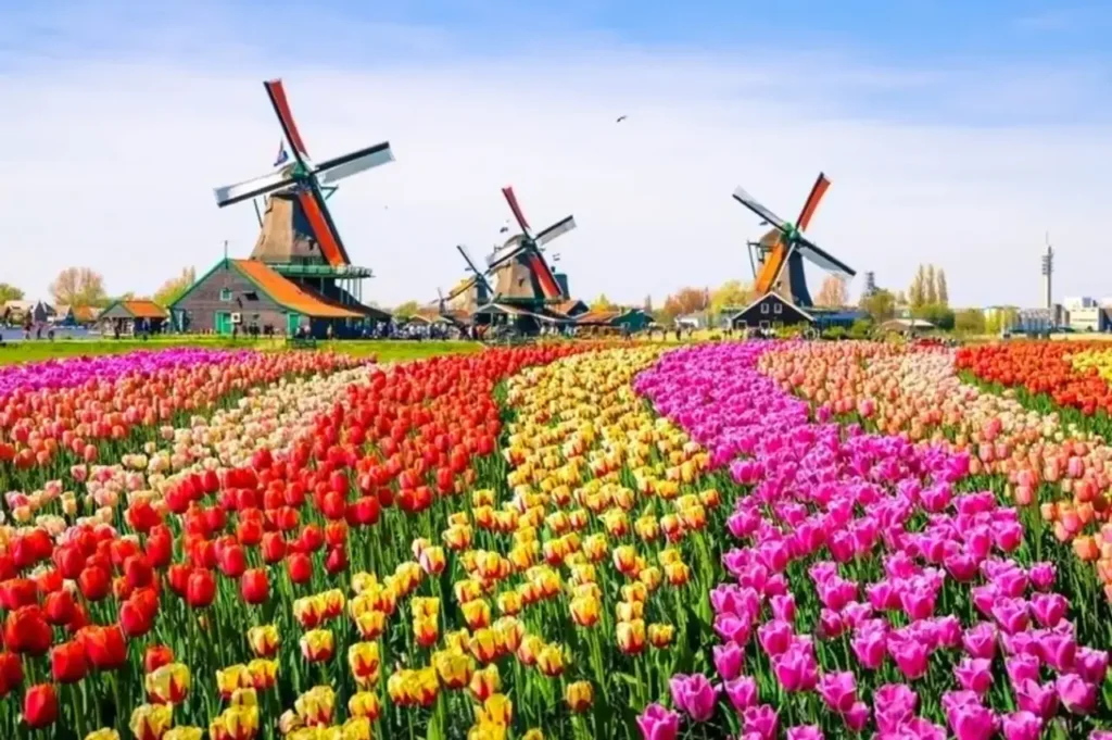 The Enchanting Tourist Destinations In The Netherlands 00