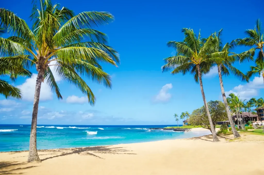 The Most Beautiful Beaches In Hawaii 1