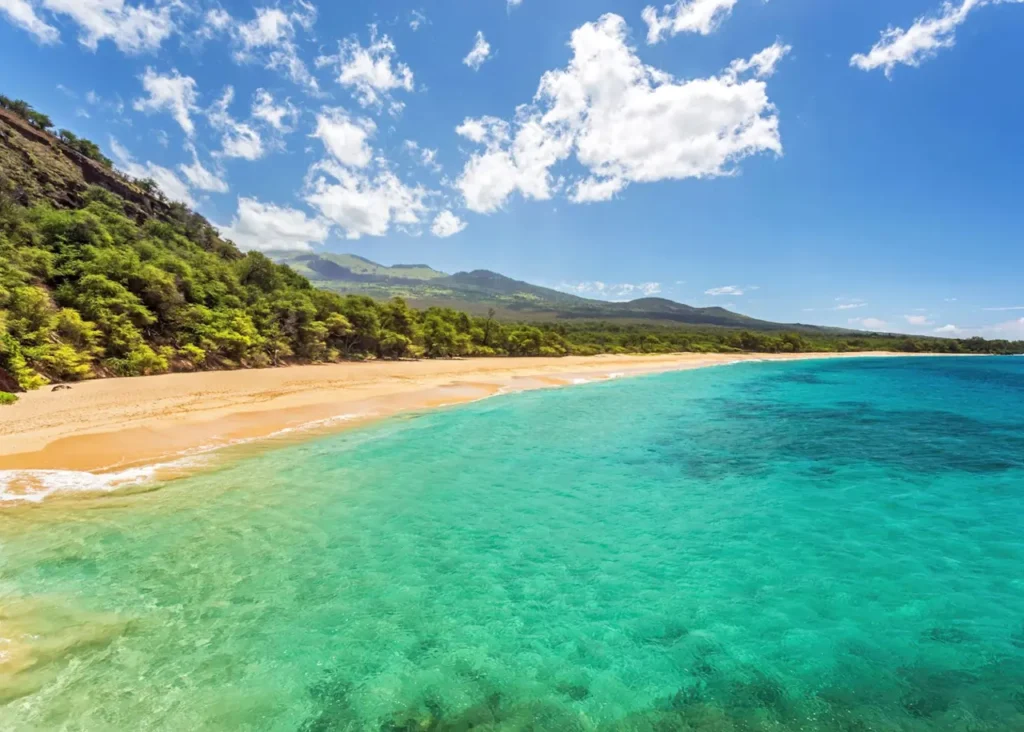 The Most Beautiful Beaches In Hawaii 30