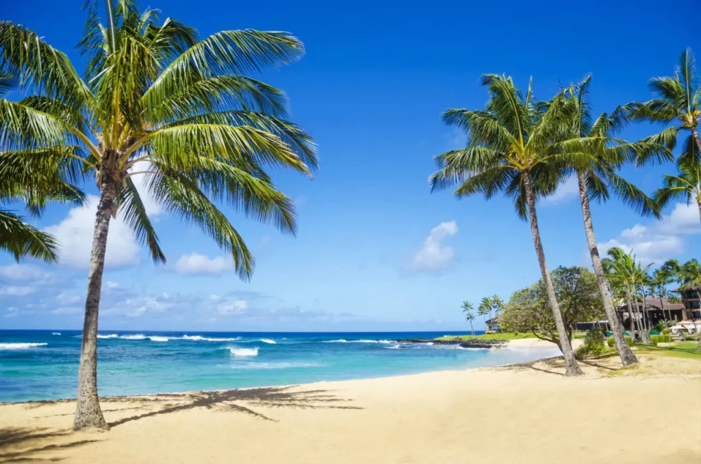 The Most Beautiful Beaches In Hawaii 5