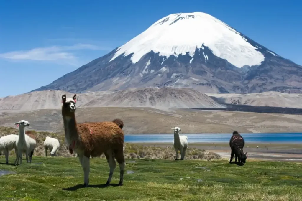 The Top Attractive Tourist Destinations In Chile 12