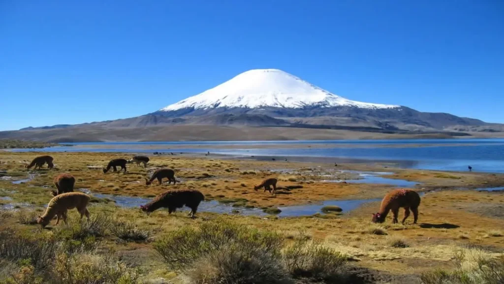 The Top Attractive Tourist Destinations In Chile 22