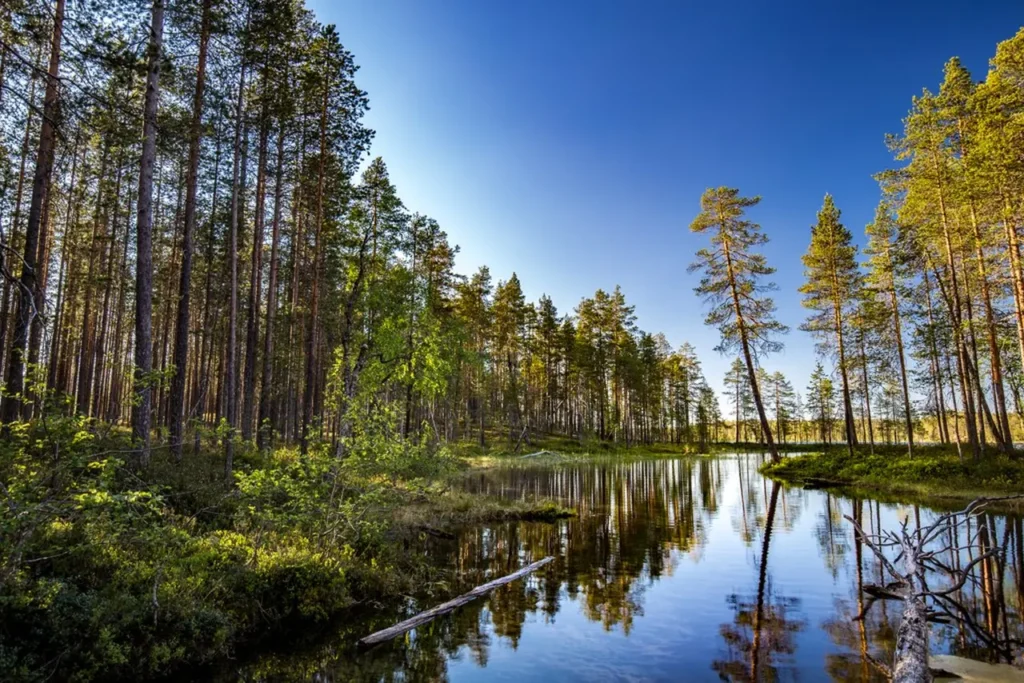 Travel To The Beautiful Country Of Finland 12-1
