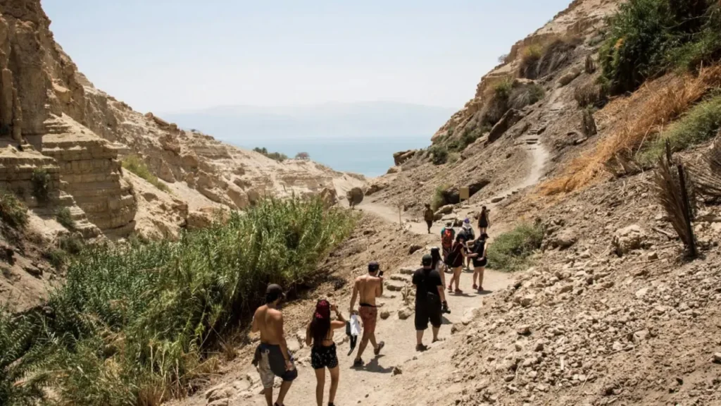 Experience The Dead Sea 1-6