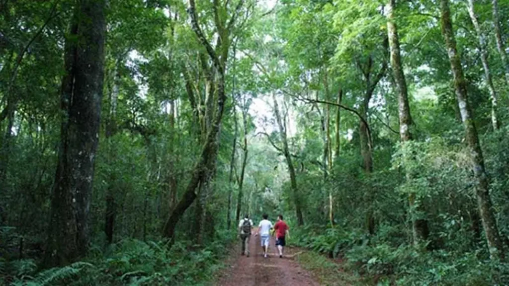 Iguazu National Park 9