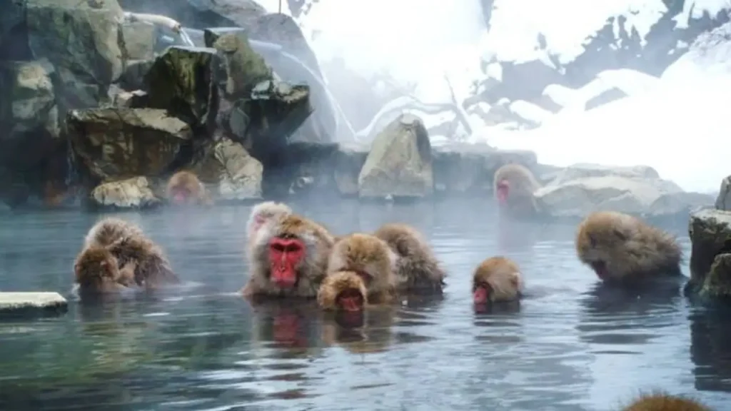 Natural Hot Springs In The World 10