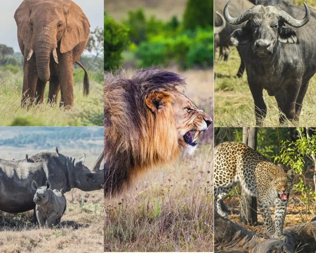 Serengeti National Park 15