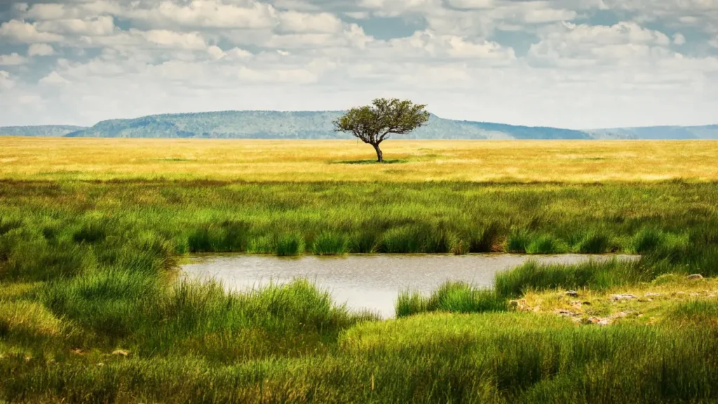 Serengeti National Park 22