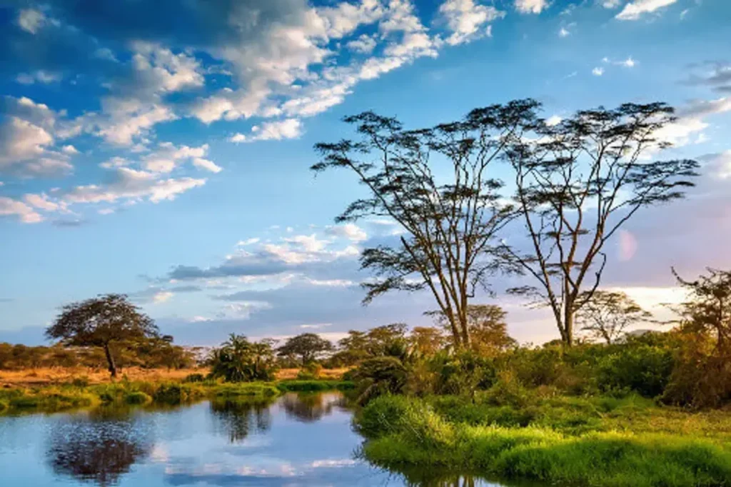 Serengeti National Park 24