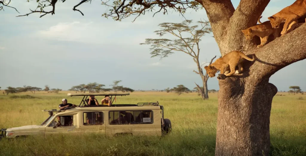 Serengeti National Park 7