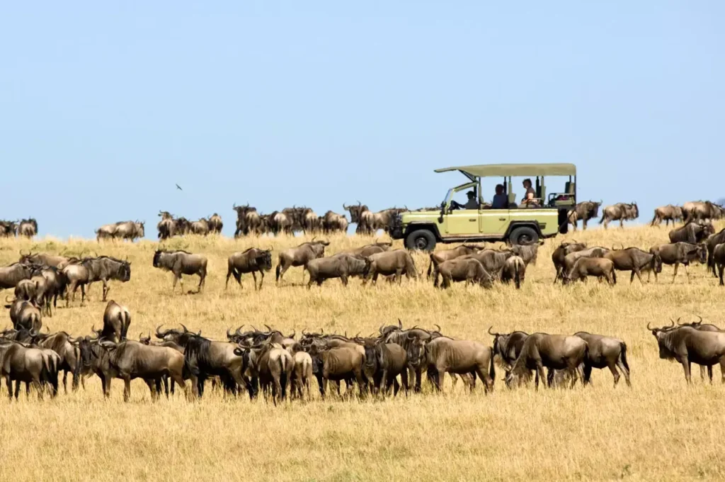 Serengeti National Park 9