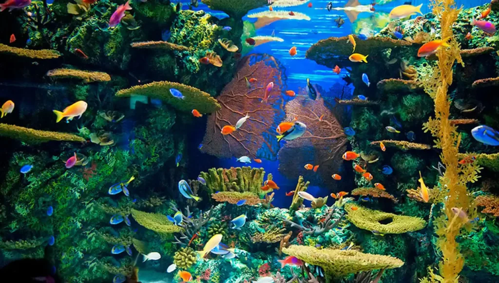 The Famous And Interesting Aquariums 0