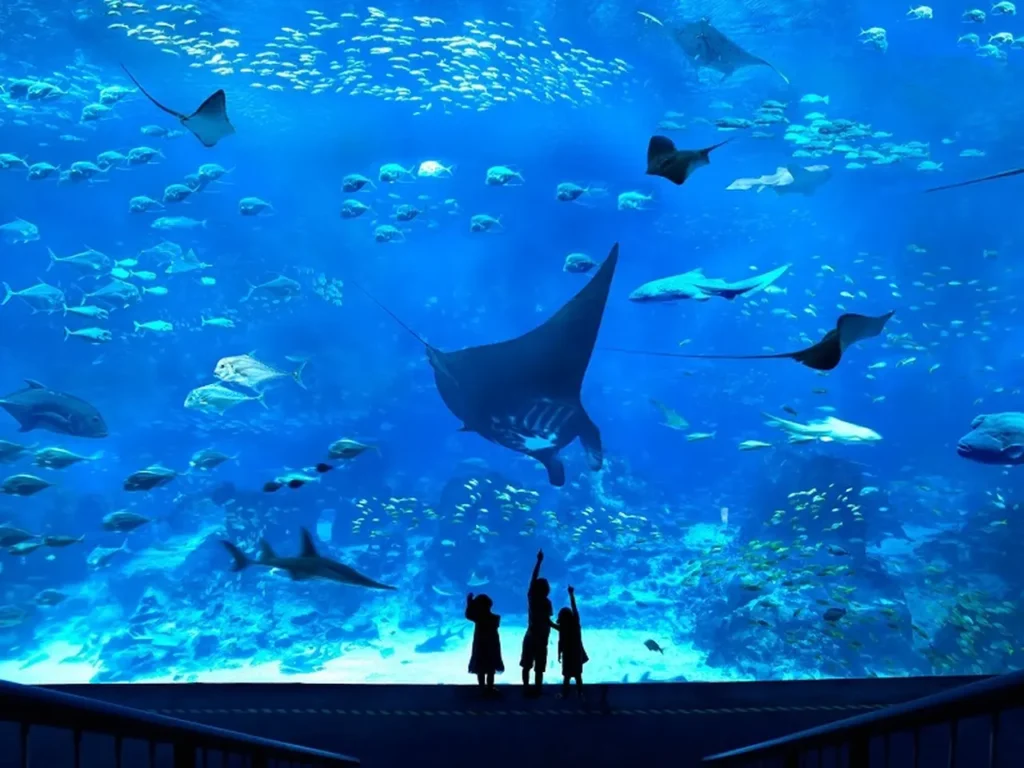 The Famous And Interesting Aquariums 13