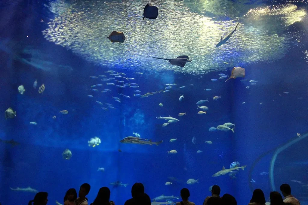The Famous And Interesting Aquariums 18