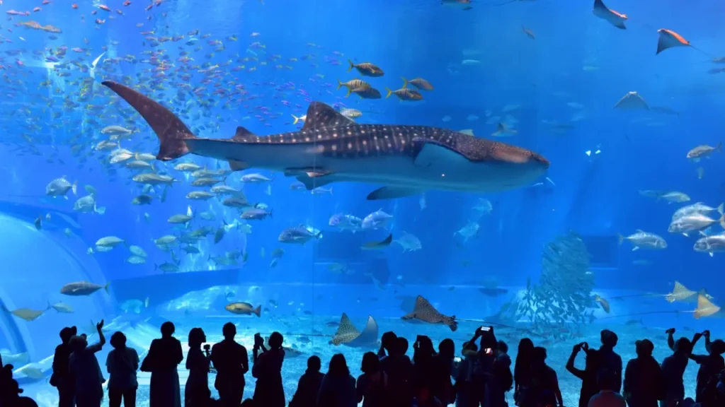 The Famous And Interesting Aquariums 19