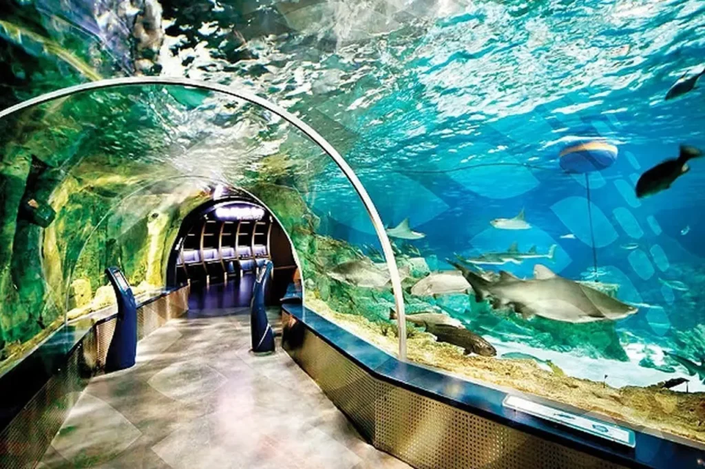 The Famous And Interesting Aquariums 21
