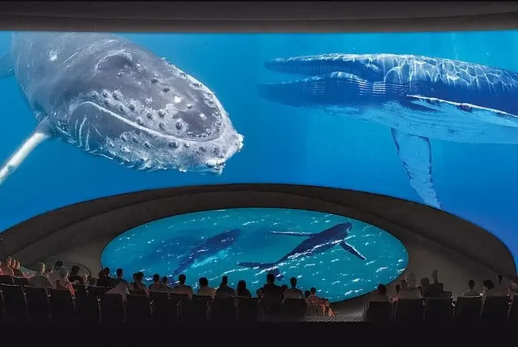 The Famous And Interesting Aquariums 22