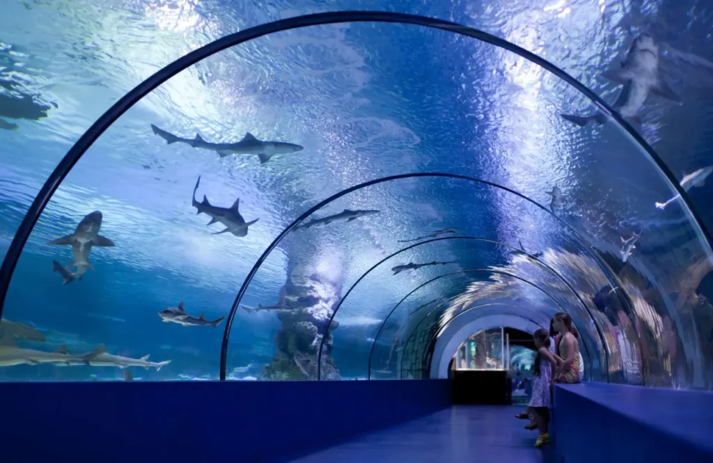The Famous And Interesting Aquariums 24