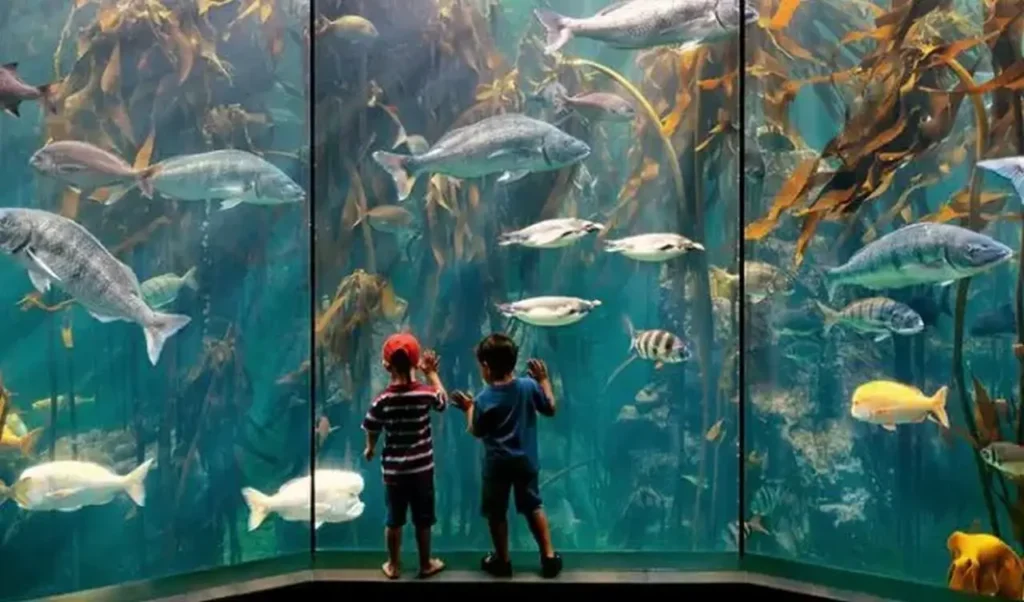 The Famous And Interesting Aquariums 26