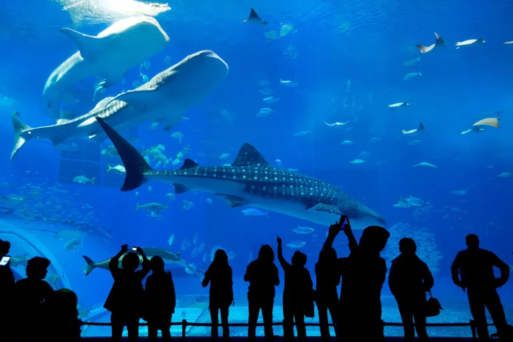 The Famous And Interesting Aquariums 27