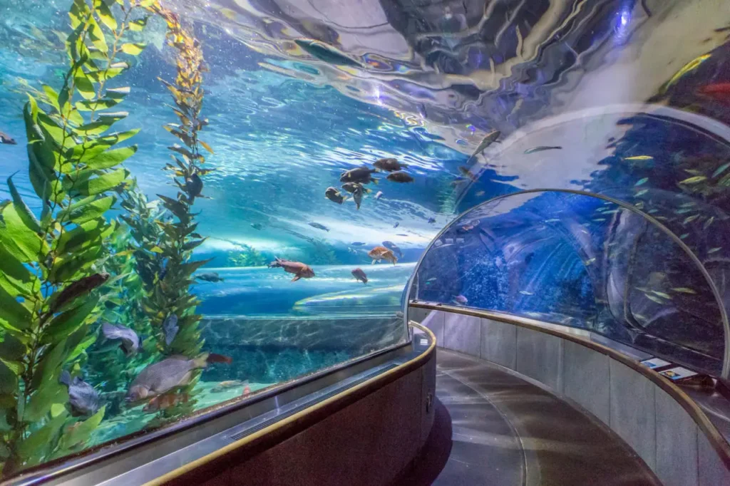 The Famous And Interesting Aquariums 28