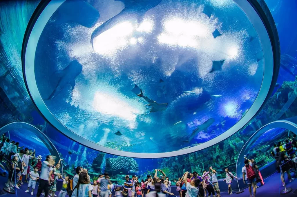 The Famous And Interesting Aquariums 29