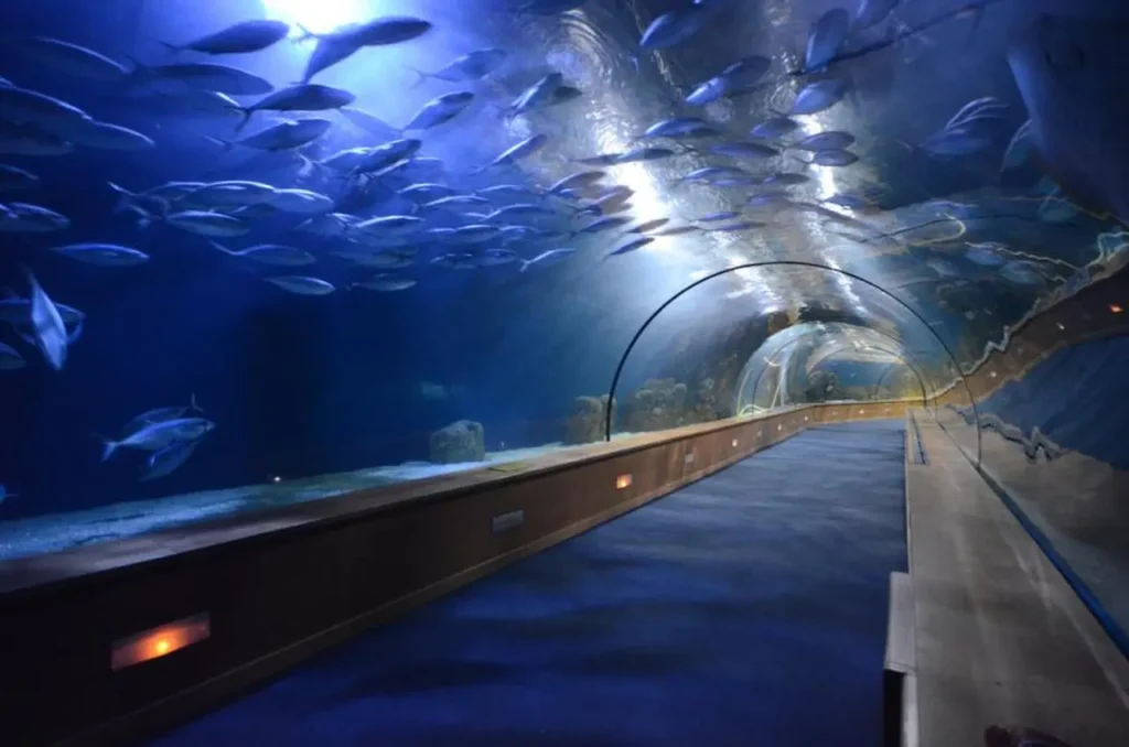 The Famous And Interesting Aquariums 3