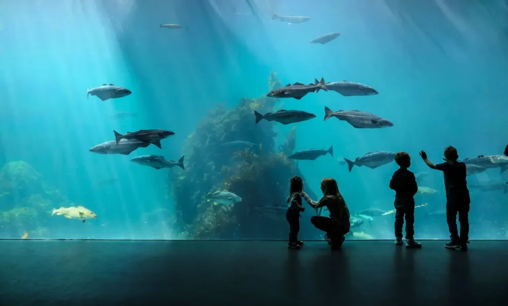The Famous And Interesting Aquariums 33