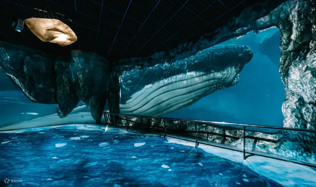 The Famous And Interesting Aquariums 5