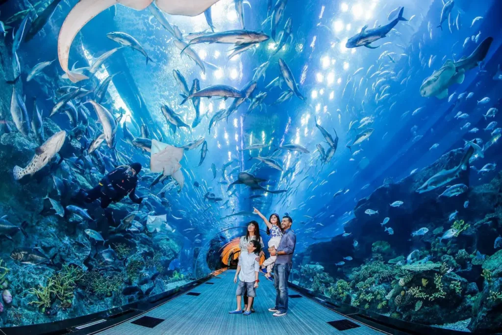 The Famous And Interesting Aquariums 6