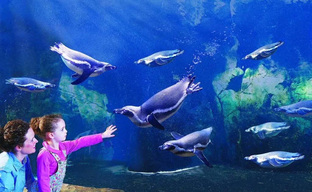 The Famous And Interesting Aquariums 9