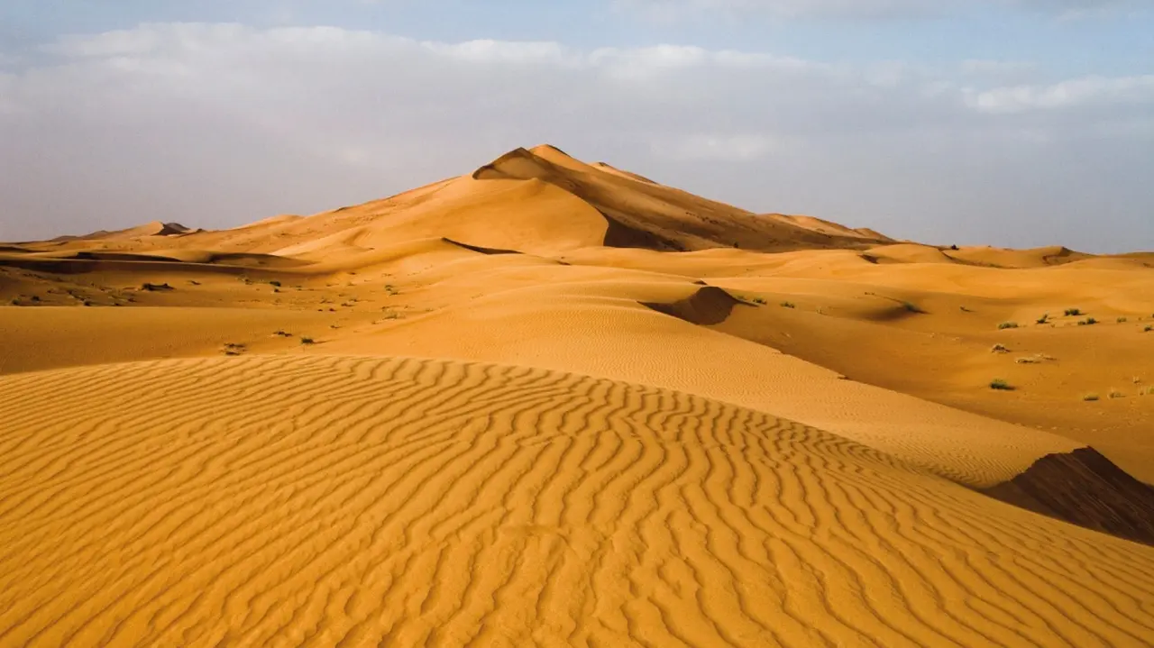 Видео desert. The most famous Deserts in the World. The Biology of Deserts. The UAE Deserts of earlier times.